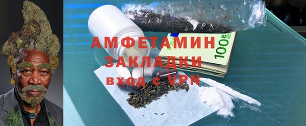 шишки Осташков