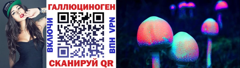 купить наркоту  Лесосибирск  OMG как зайти  Галлюциногенные грибы мицелий 